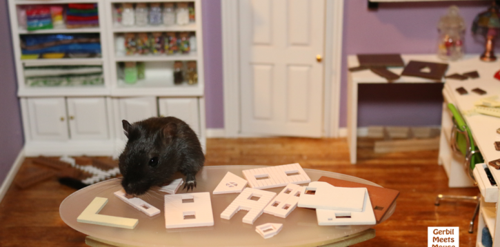 Petri Builds A Miniature Dollhouse