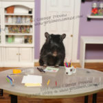 2017 Gerbil Calendar | Wall Calendar - Image 5