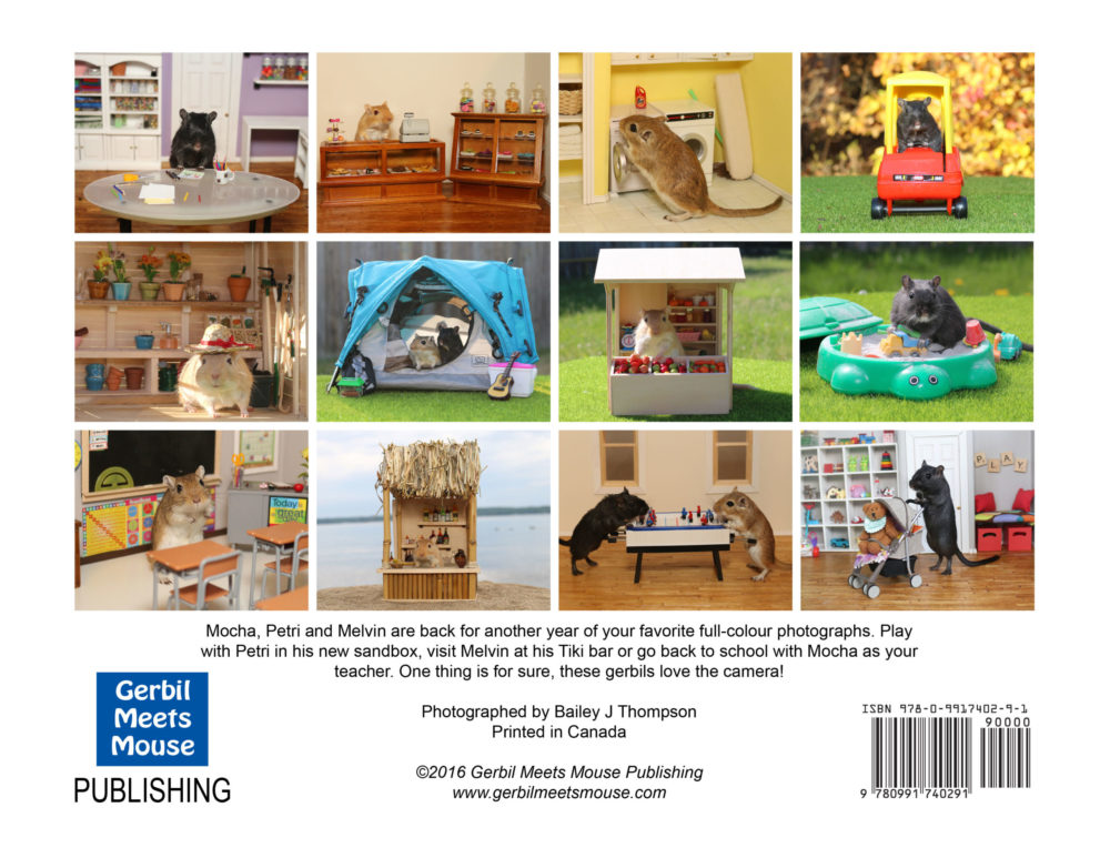 2017 Gerbil Calendar | Wall Calendar - Image 6