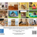2017 Gerbil Calendar | Wall Calendar - Image 6
