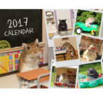 2017 Gerbil Calendar | Wall Calendar