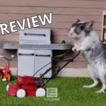 2020 Gerbil Calendar | Wall Calendar - Image 4