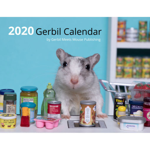 Gerbil Calendar Cover