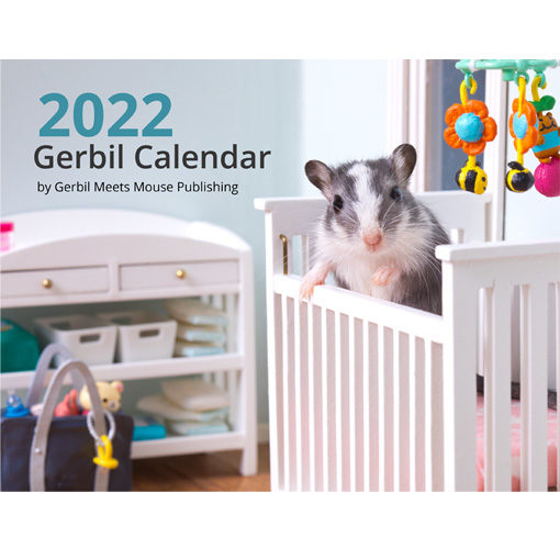 2022 Gerbil Calendar | Wall Calendar