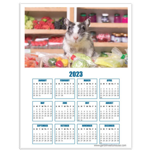 2023 Magnetic Gerbil Calendar