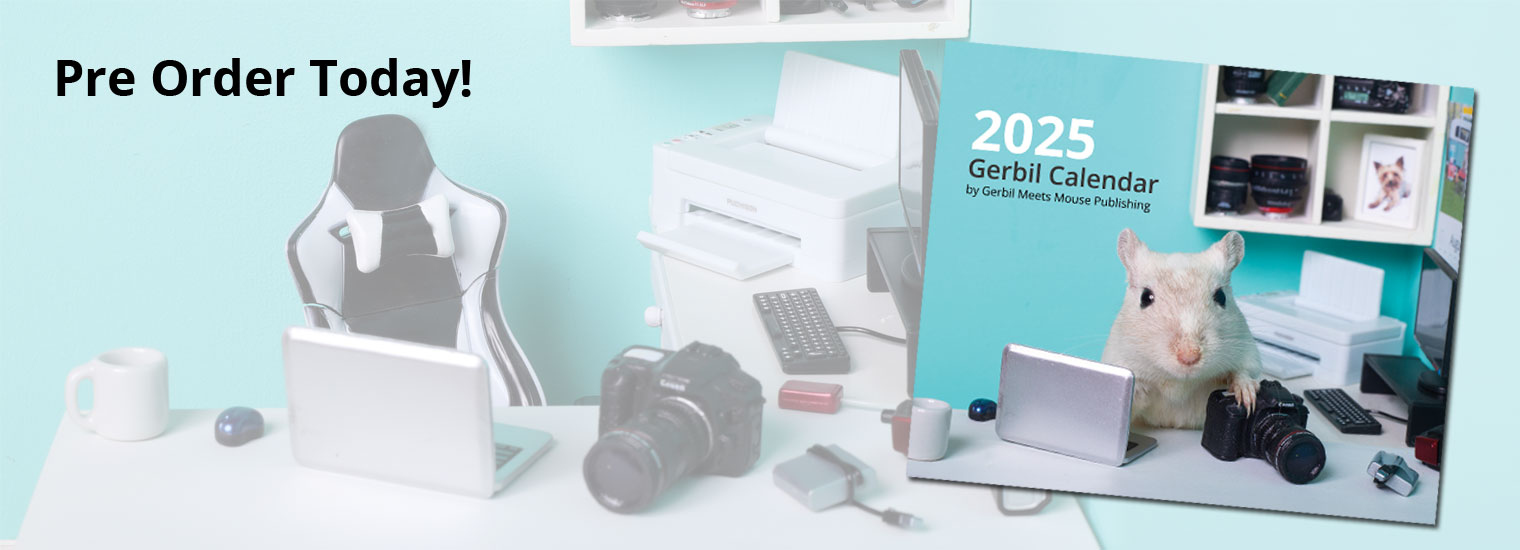 Gerbil Calendar 2025 Uk 