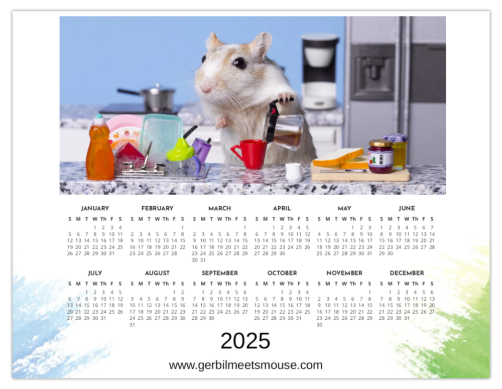 2025 Magnetic Gerbil Calendar