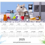 2025 Magnetic Gerbil Calendar