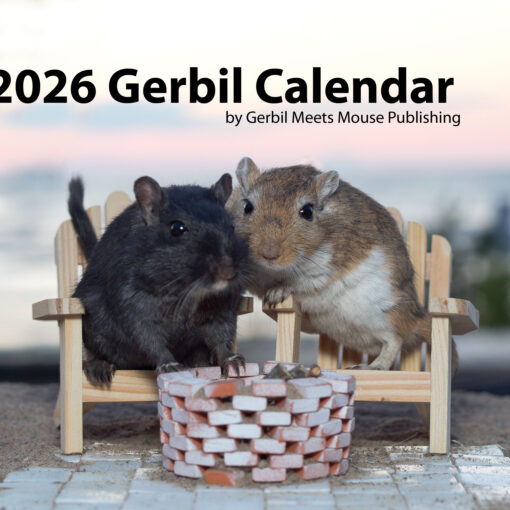 2026 Gerbil Calendar | Wall Calendar